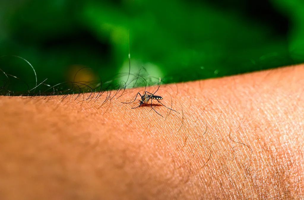 多地出现病例,一地确诊超4000例!紧急提醒→ 多地出现病例,一地确诊超4000例!紧急提醒→