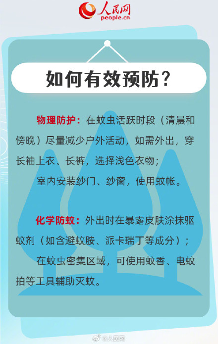 转扩！6图看懂什么是基孔肯雅热