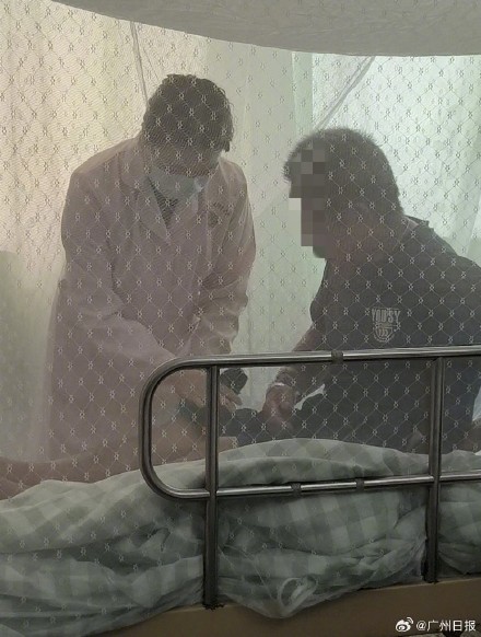 顺德区卫健局:中医药疗法显著缩短基孔肯雅热病程 顺德区卫健局:中医药疗法显著缩短基孔肯雅热病程