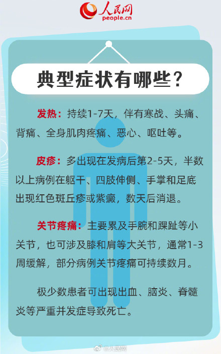 转扩！6图看懂什么是基孔肯雅热