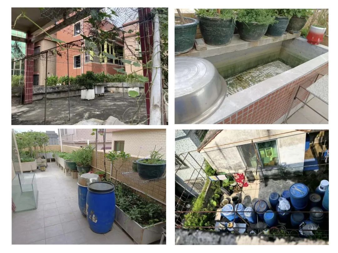 阳台堆满10多桶积水!出租屋藏 “蚊虫摇篮” 还拒配合?切勿抱有侥幸心理…… 阳台堆满10多桶积水!出租屋藏 “蚊虫摇篮” 还拒配合?切勿抱有侥幸心理……