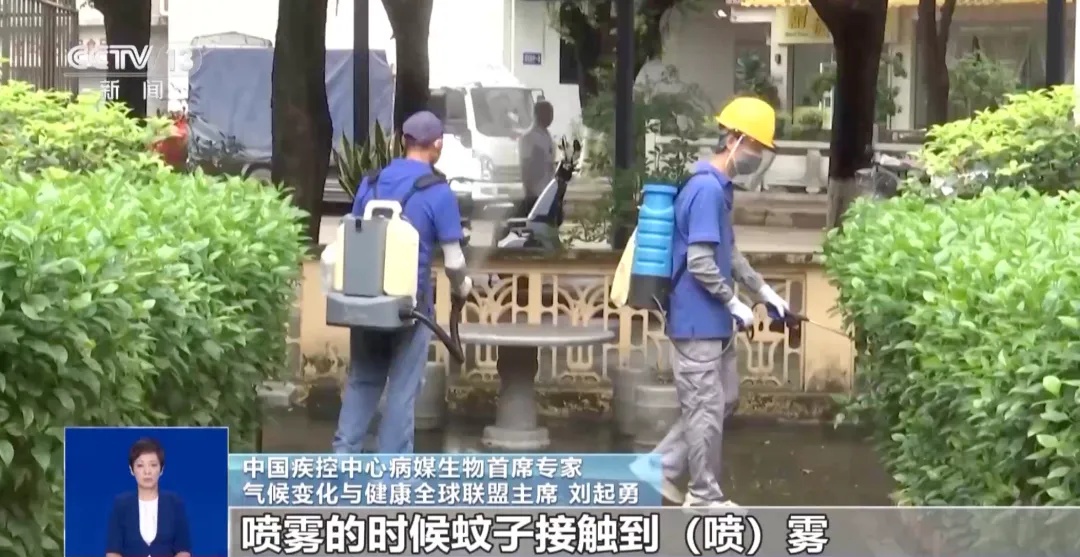 确诊超4000例!感染基孔肯雅热,关节痛会持续多久? 确诊超4000例!感染基孔肯雅热,关节痛会持续多久?