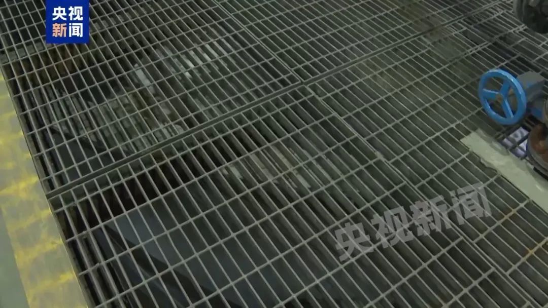 3家官网已黑白！记者实地探访后，关键细节曝光！