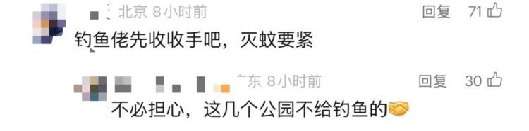 “灭蚊鱼”上岗！广东应对基孔肯雅热有奇招