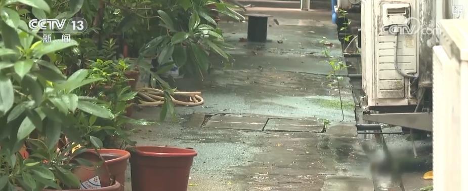 今年基孔肯雅热疫情规模为何超以往?如何防范?专家解读 今年基孔肯雅热疫情规模为何超以往?如何防范?专家解读