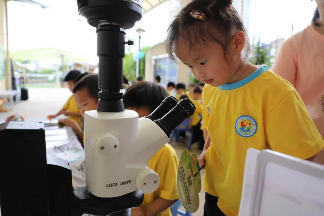 免费学前教育，要来了！专家解读→