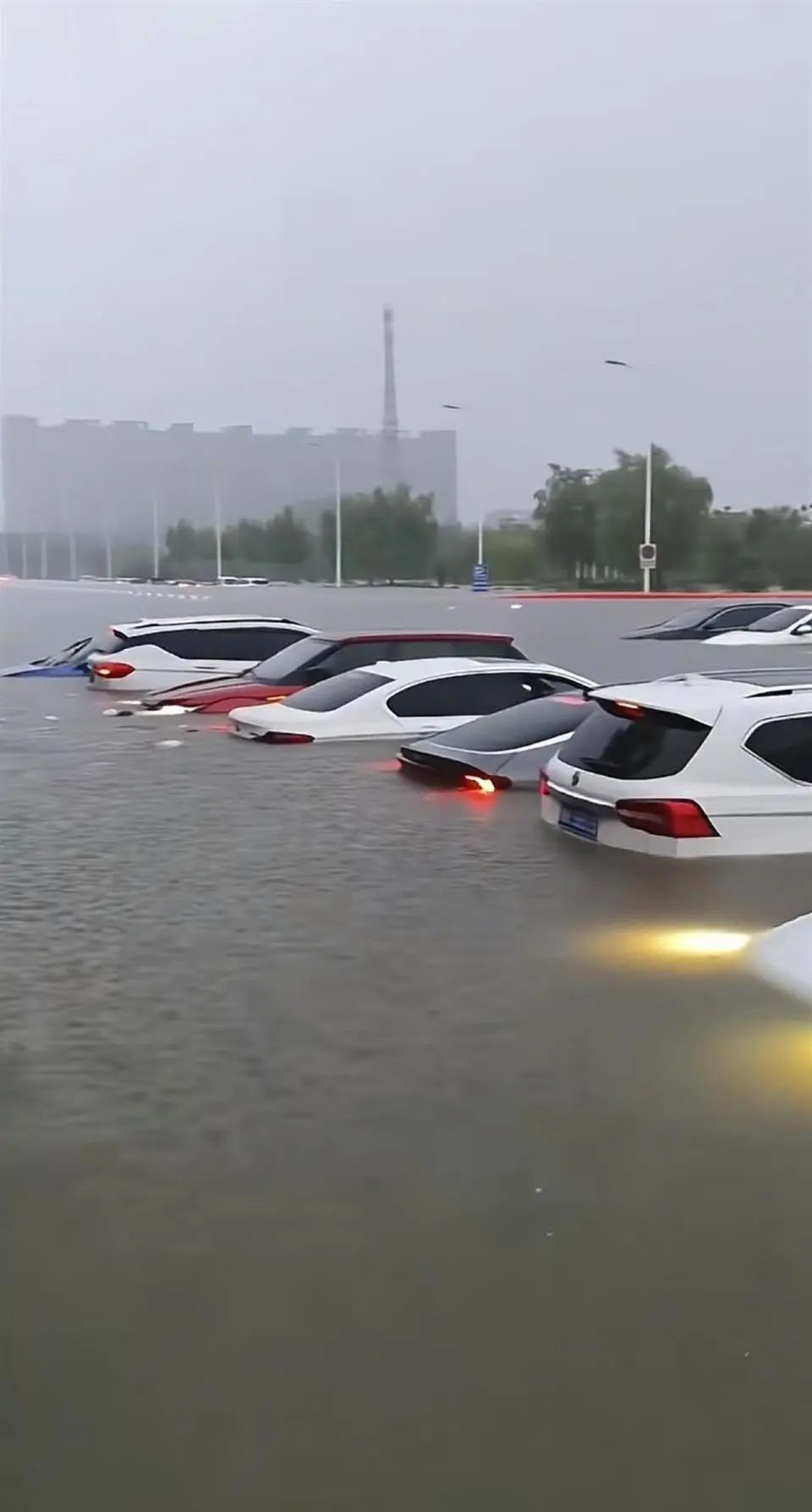 河北涿州突降暴雨,积水快没过车窗,居民称“开车像开船” 河北涿州突降暴雨,积水快没过车窗,居民称“开车像开船”