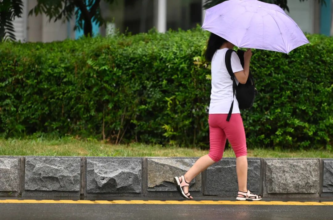 辽宁局地有大到暴雨，一地发布地质灾害预警！沈阳的具体情况是……