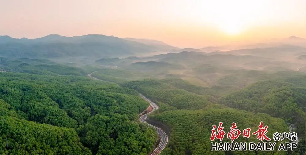“到海南避暑,认真的吗?” “到海南避暑,认真的吗?”