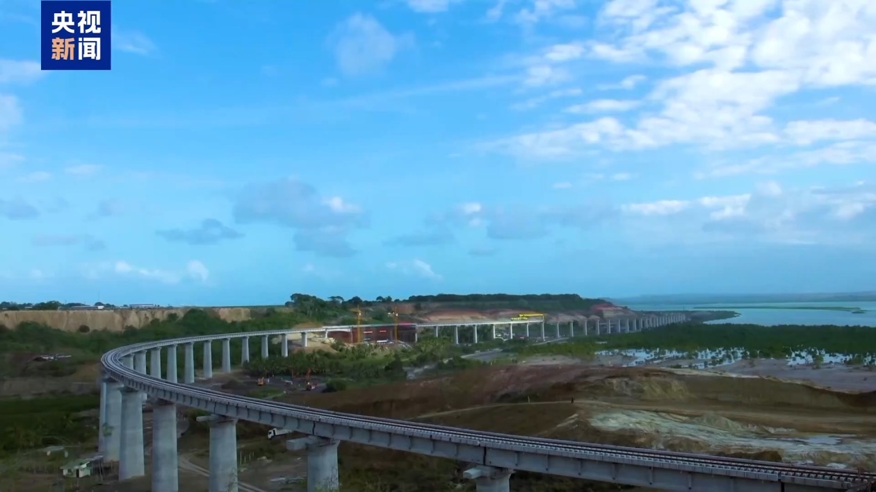 肯尼亚红树林“重生记”：失去20%覆盖面积后的绿色守望