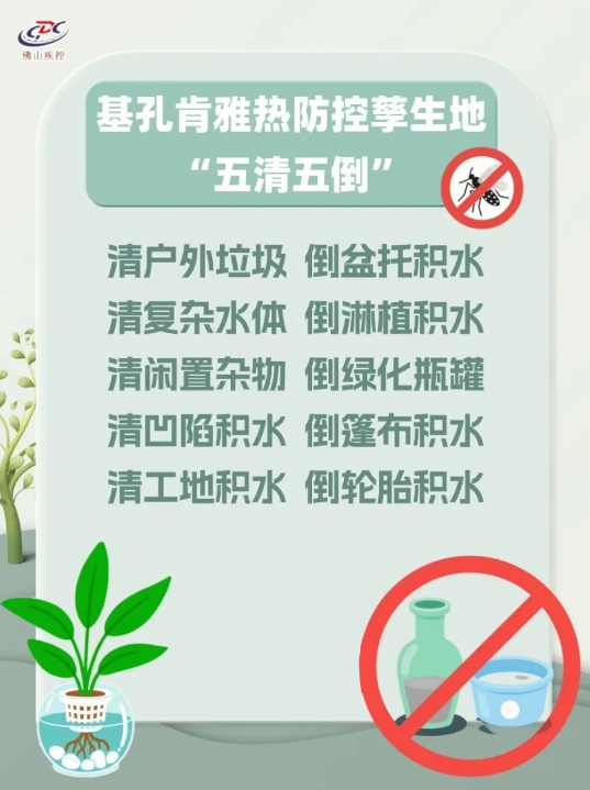 基孔肯雅热,这样防→ 基孔肯雅热,这样防→