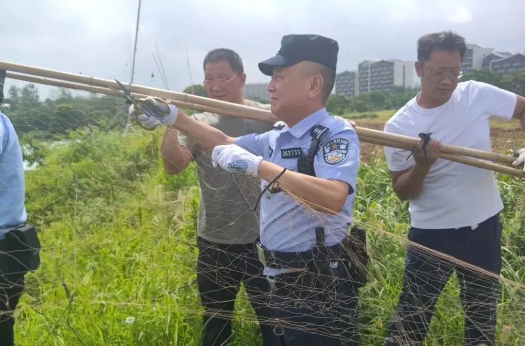 严查!合肥巢湖岸边不能做这件事! 严查!合肥巢湖岸边不能做这件事!