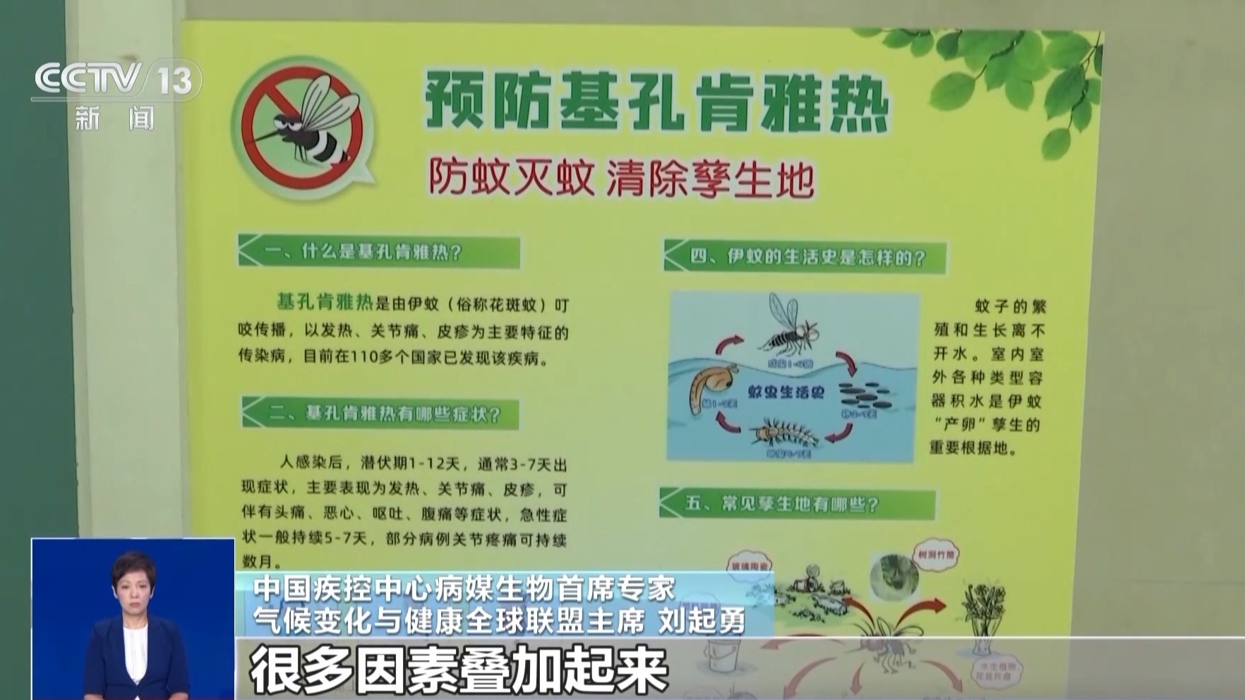 确诊超4000例,基孔肯雅热啥来头? 确诊超4000例,基孔肯雅热啥来头?