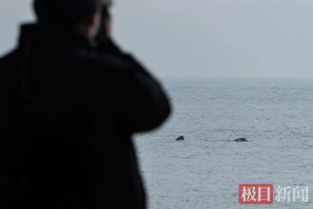 90分钟路程缩短至5分钟！怎么做到的？