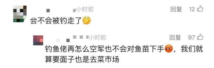 “灭蚊鱼”上岗！广东应对基孔肯雅热有奇招