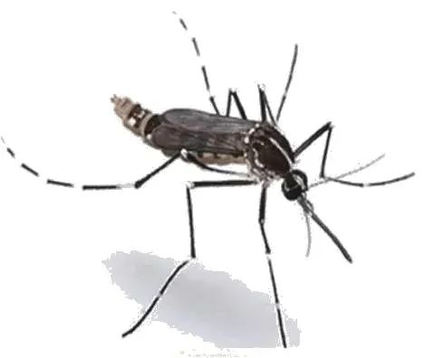 已确诊超3000例！外出请做好这几件事