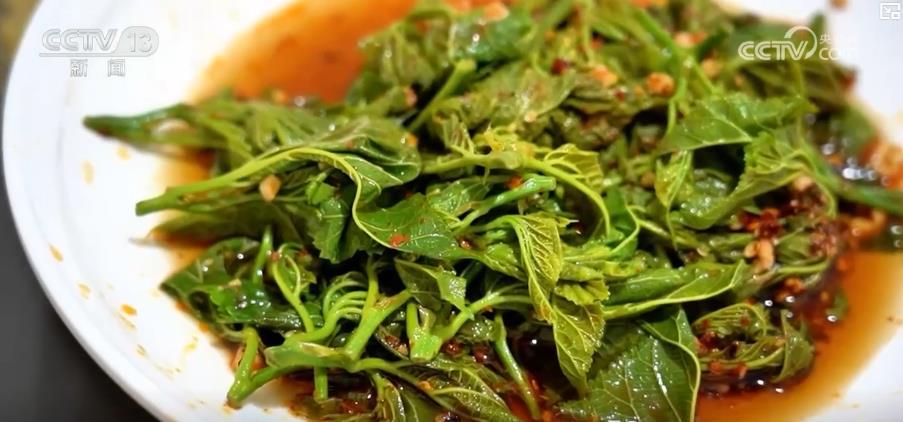 夏日美食图鉴：从田野到餐桌 这些独特食材变身消暑美味