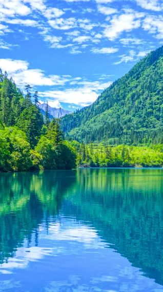 超凉快！这几处动车直达的川渝黔避暑胜地加车，附车次→