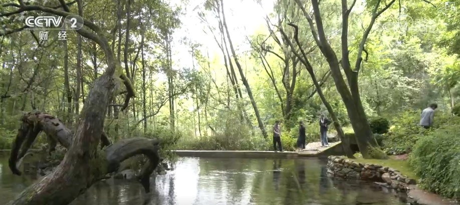 “文旅+”为夏日文旅市场注入新活力 “文旅产”创新场景魅力十足“留下人”