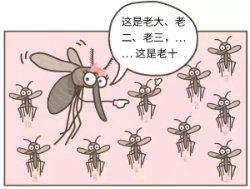 广东蚊子会飞河南吗?河南高温直冲40℃,本地蚊媒密度超风险值! 广东蚊子会飞河南吗?河南高温直冲40℃,本地蚊媒密度超风险值!