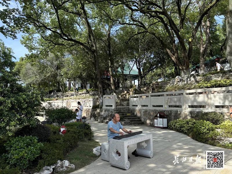 武汉这里成全国热门!体验感拉满 武汉这里成全国热门!体验感拉满