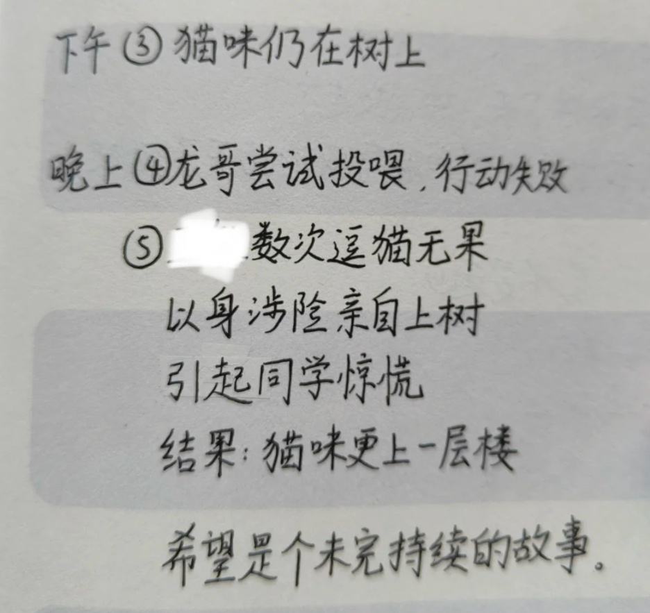 偶然翻出高中这本小收集册，“不是......我那时候到底在想什么啊”