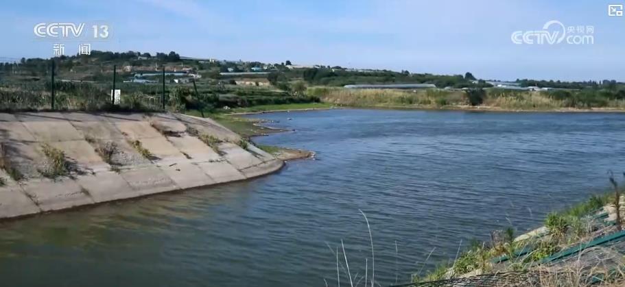 科学抗旱保秋粮：田间管理全面升级 精准施策力保稳产增收