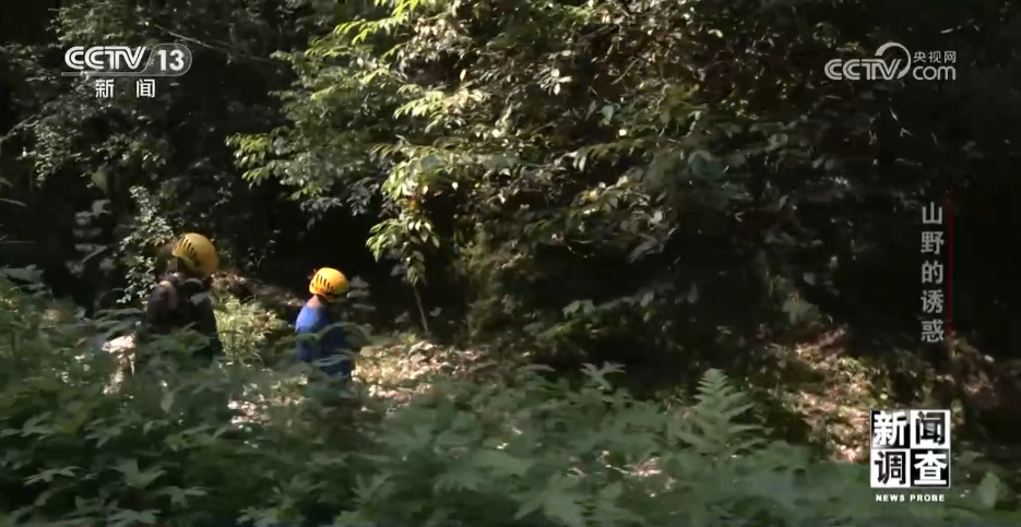 户外探险事故频发,如何规范管理“越界”行为? 户外探险事故频发,如何规范管理“越界”行为?