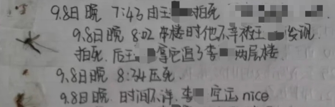 偶然翻出高中这本小收集册，“不是......我那时候到底在想什么啊”
