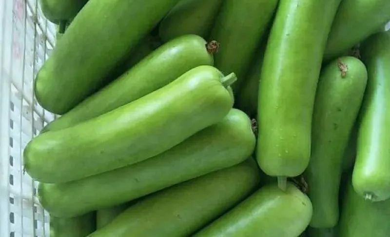 注意！家里这种常吃的瓜，一旦发苦立刻扔！