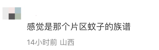 偶然翻出高中这本小收集册，“不是......我那时候到底在想什么啊”