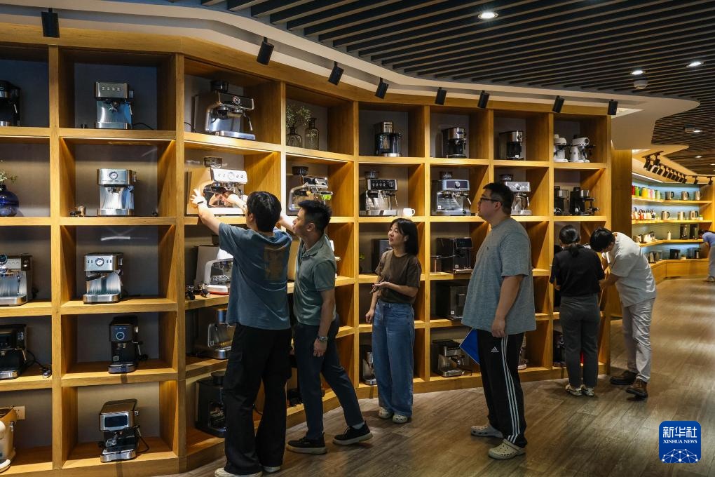 促进民营经济高质量发展丨小家电巨头的出口增长密码