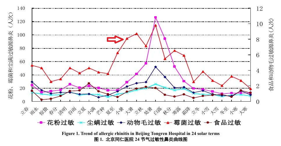 密密麻麻“小黑点”，伤害很大！赶快清理！