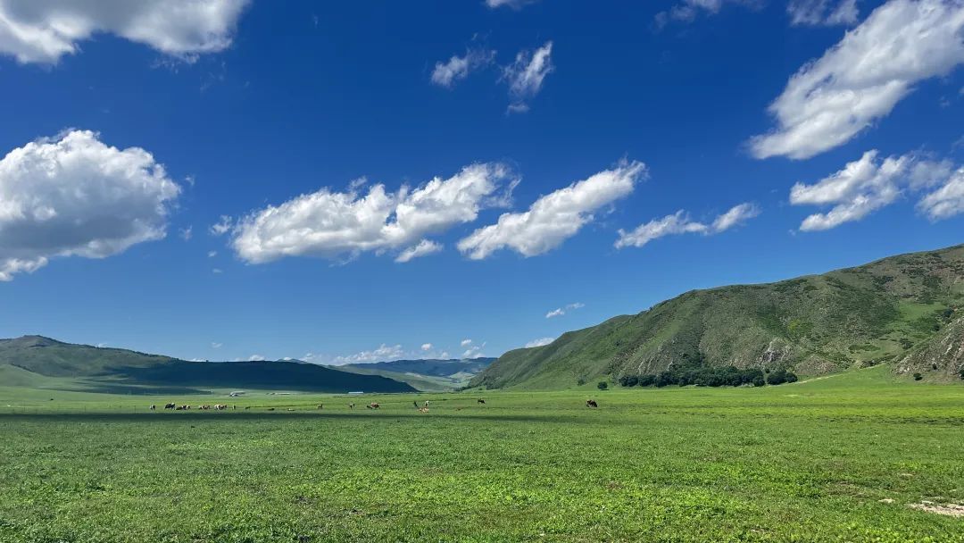 休牧，增收，两不误！