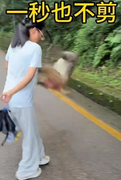女生拿西瓜喂猴被猴子飞踹一脚，黔灵山回应：野生猕猴容易伤人