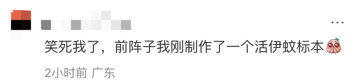 偶然翻出高中这本小收集册，“不是......我那时候到底在想什么啊”