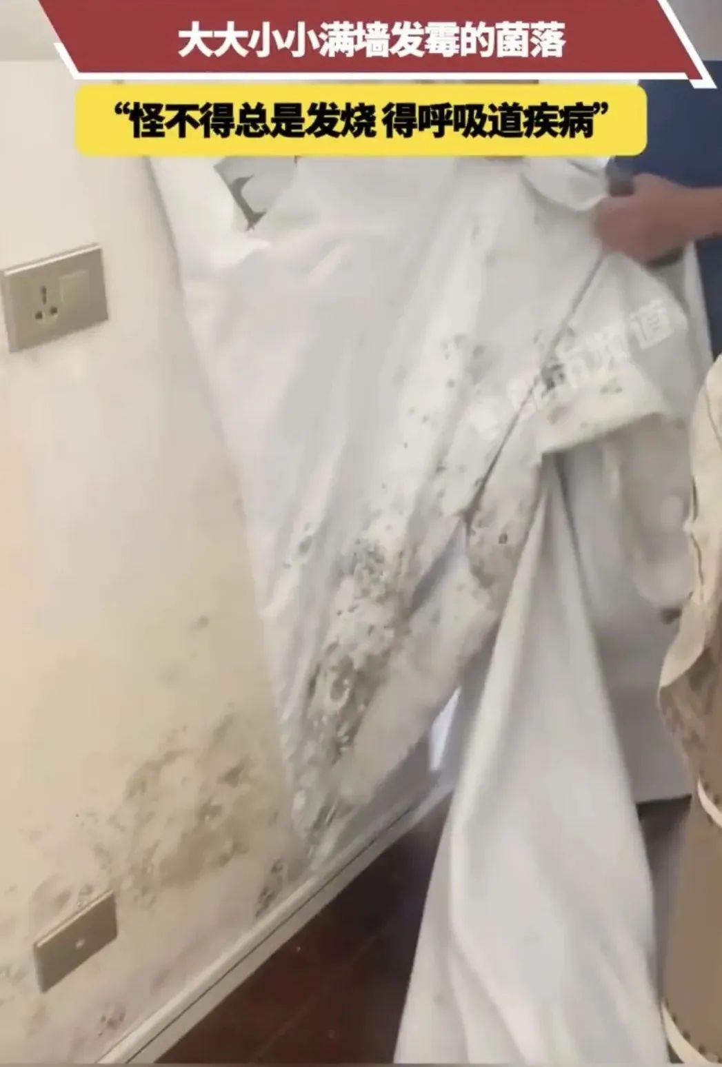 密密麻麻“小黑点”，伤害很大！赶快清理！