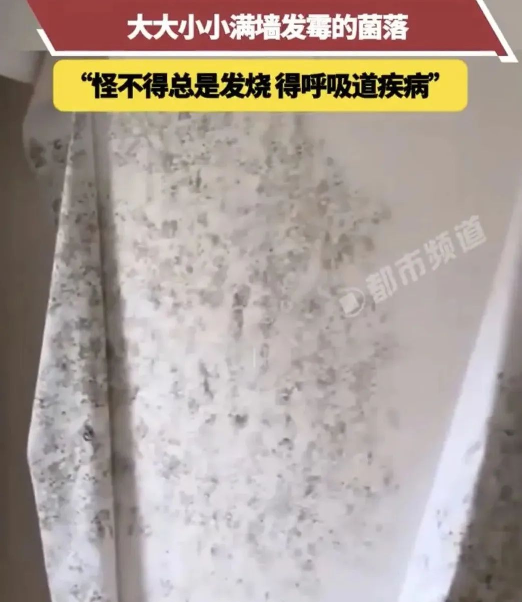密密麻麻“小黑点”，伤害很大！赶快清理！