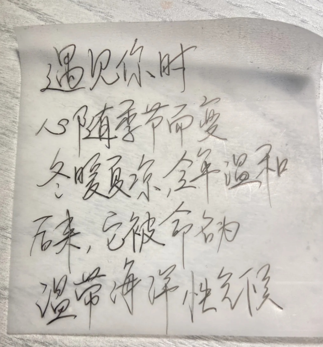 偶然翻出高中这本小收集册，“不是......我那时候到底在想什么啊”