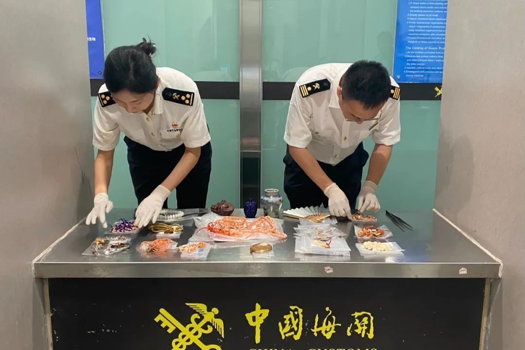 大连海关查获674件濒危物种制品