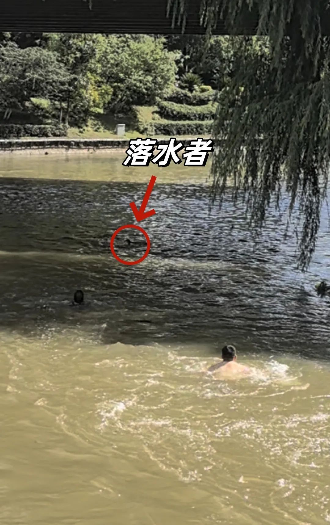 揪心!发生多起!请高度警惕! 揪心!发生多起!请高度警惕!