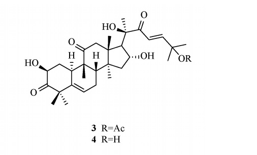 毒性堪比砒霜！正大量上市！一旦发苦赶紧吐掉！