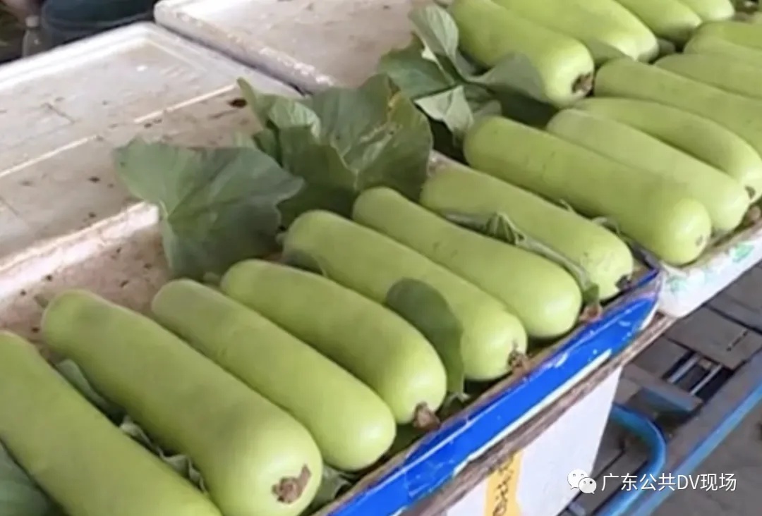 毒性堪比砒霜！一种正大量上市的瓜，一旦发苦赶紧吐掉