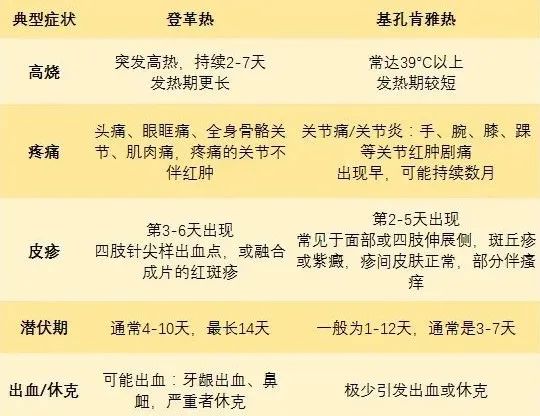 专家提醒：基孔肯雅热禁用这种常见药，或加重关节损伤！防控关键是“清积水+防叮咬”