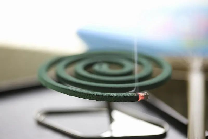 蚊子叮人也有“时间表”和“颜色偏好”？