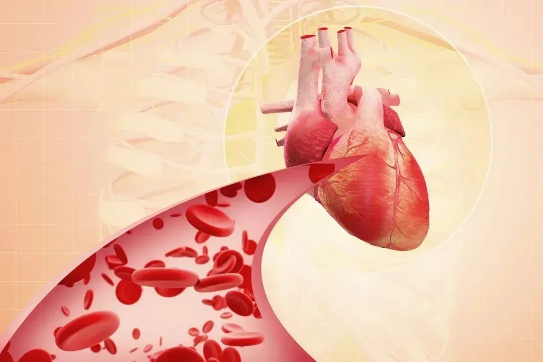 高温天这五类疾病高发！别让这些“不经意”成为健康“引爆器”