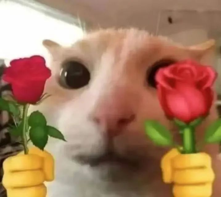 落难“萌”禽接连出没!警民携手暖心救助 落难“萌”禽接连出没!警民携手暖心救助