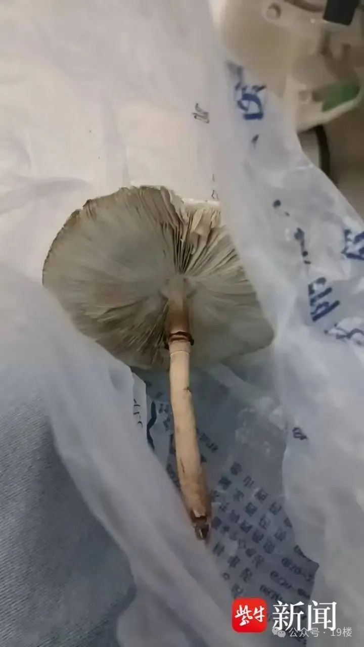 有人中毒急救!全网仍在热卖,紧急提醒:都是假的 有人中毒急救!全网仍在热卖,紧急提醒:都是假的