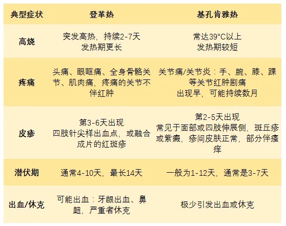 广东通报基孔肯雅热病例分布，提醒：这两个重点时间段是伊蚊叮咬高峰