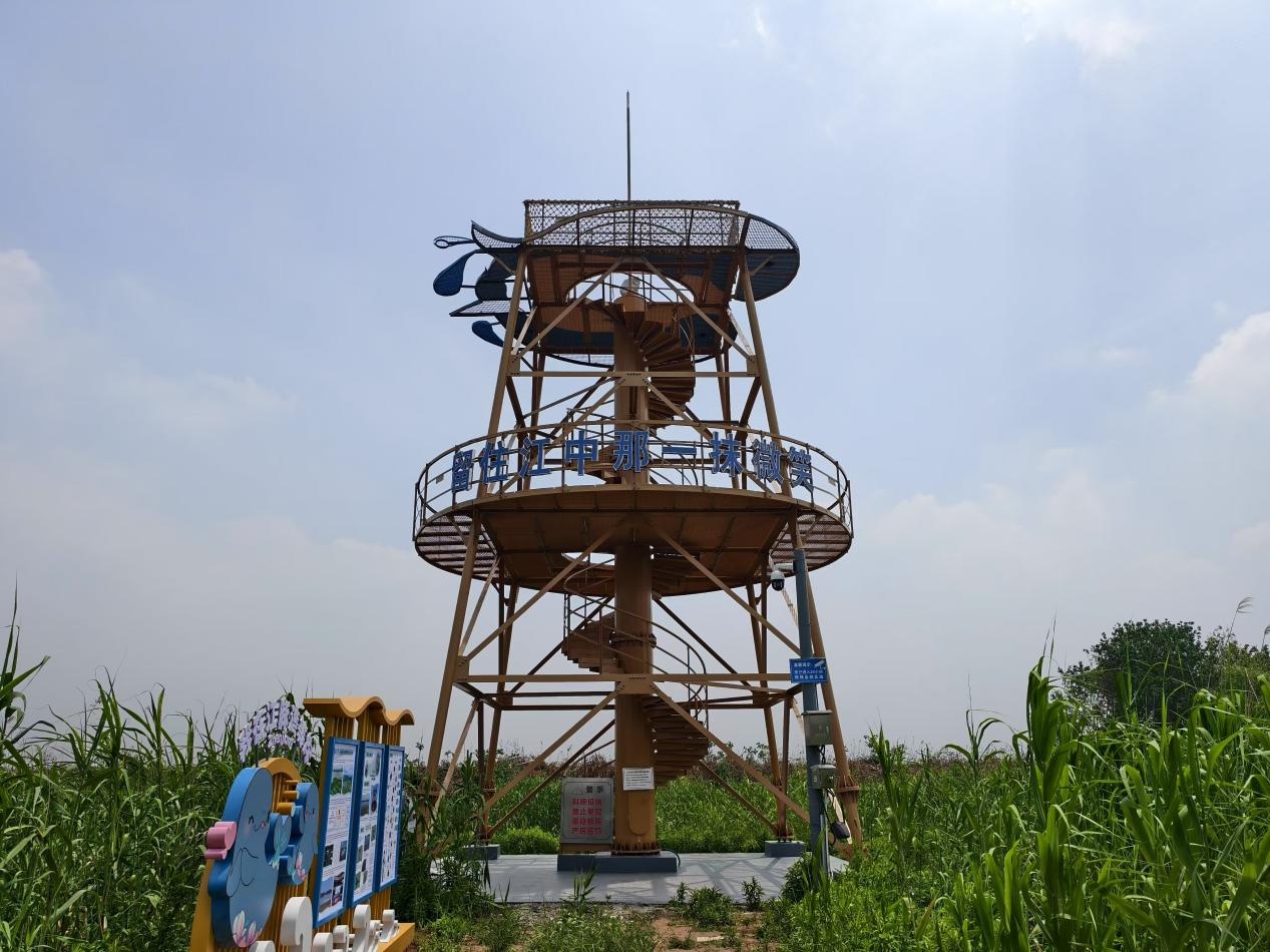 长江镇江段：优化监测体系 只为守护“长江微笑”